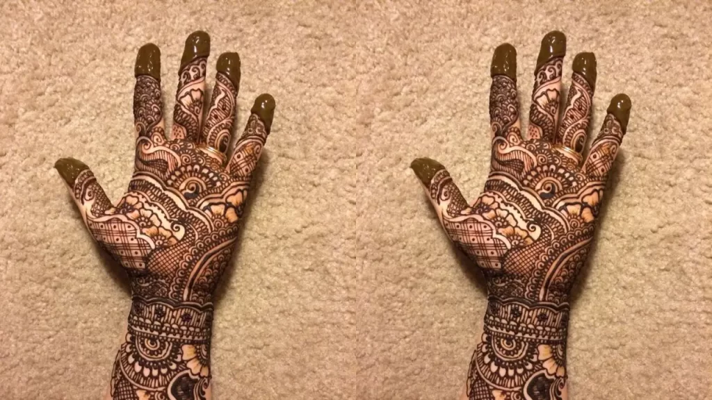 Arab Paisley Motifs Mehndi Design